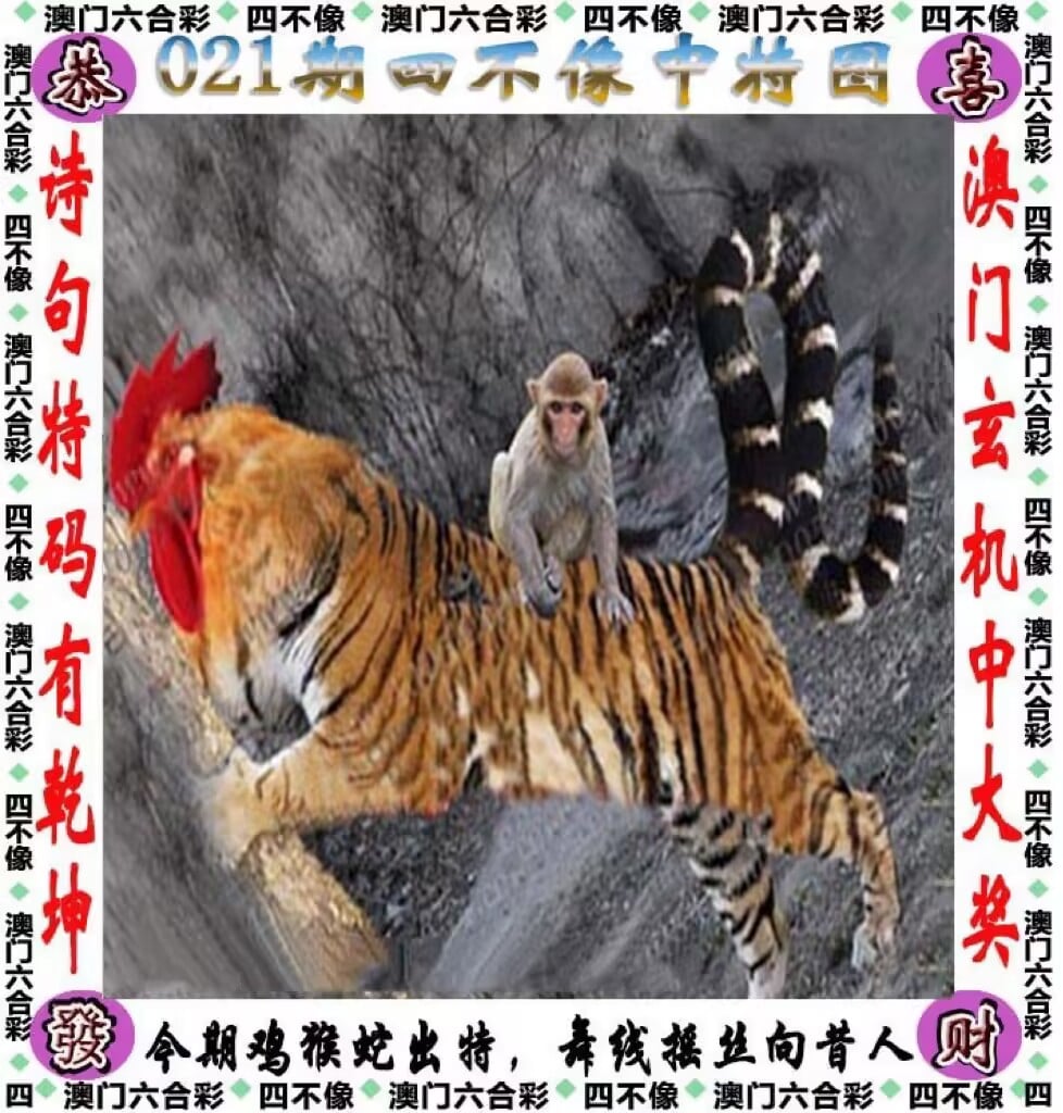 盛元数联科技有限公司